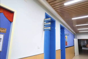 學(xué)校食堂食品安全引關(guān)注，官方回應(yīng) 涉事蔬菜霉變，校長(zhǎng)被免職